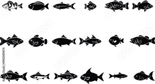 collection of various fish silhouettes on white background
