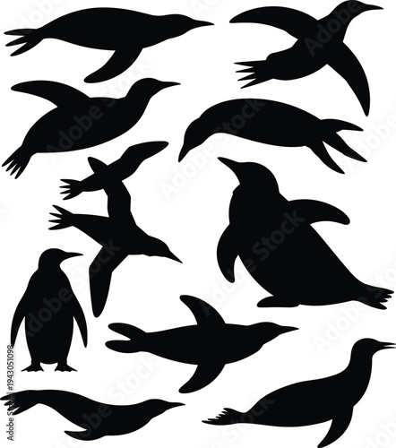 Penguin silhouette collection vector illustration, Antarctic bird set in different poses, wildlife animal icons isolated on white background