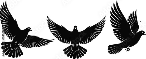Flying dove bird silhouettes with spread wings peace symbol wildlife nature freedom illustration black design collection set
