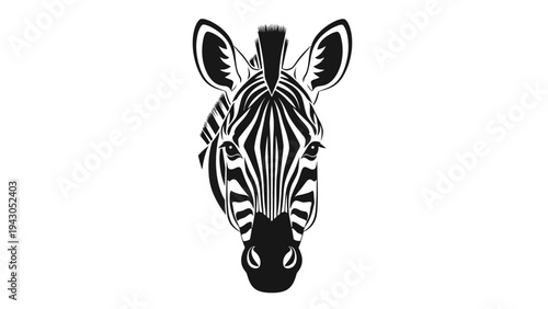 Close up of a zebra head with black and white stripes on a white background