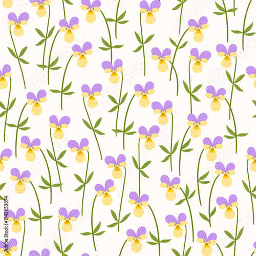 Wild pansy flower seamless pattern. Delicate viola wildflower hand drawn vector illustration. Botanical spring summer nature print. Seasonal floral blossom background.