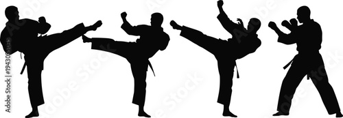 Karate martial arts fighter silhouettes performing high kicks and combat stances isolated sport training action illustration collection