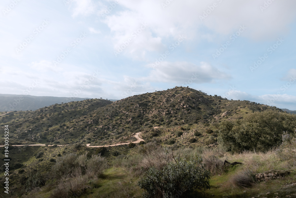 Obraz premium Winding dirt road winding through green hills