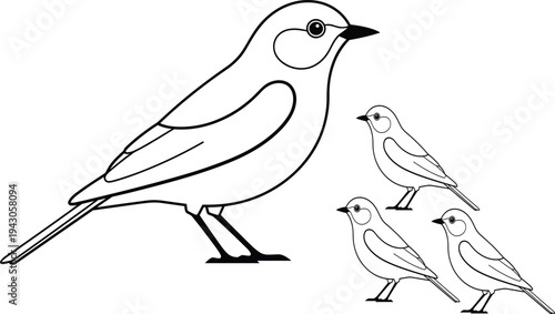 Cute bird outline illustration set, small songbird line art vector, black white wildlife animal drawing simple design