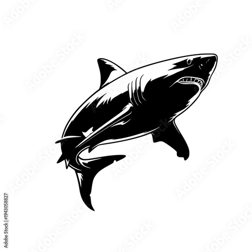 Great White Shark Vector Illustration - High Contrast Black and White Marine Predator Graphic