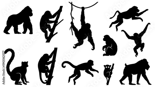 Collection of various primate species silhouettes including gorilla orangutan chimpanzee and lemur in active poses