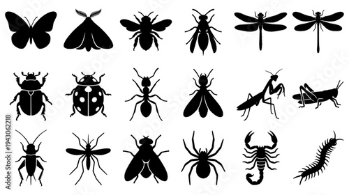 Set of Eighteen Black Insect Silhouettes Including Butterfly Bee Spider Scorpion and Praying Mantis