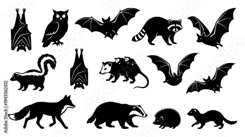 Black silhouette collection of nocturnal forest animals featuring bats owl raccoon fox and opossum