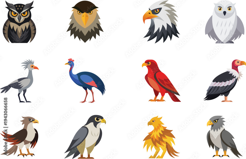 Fototapeta premium Vector illustration of 12 violent Bird 