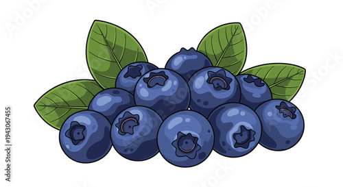 Small pile of fresh blue blueberries with green leaves, illustrated in a clean and detailed cartoon style on a plain white background.