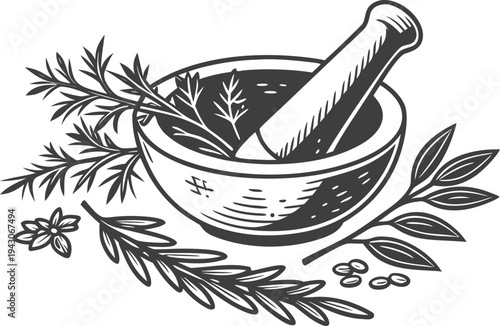 Apothecary Herb Bundle Botanical Engraving Illustration, Vintage Medicinal Plants Tied with String, Antique Herbal Line Art