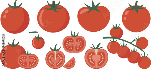 Fresh red tomatoes collection with whole sliced and cherry tomatoes isolated flat vector illustration of healthy vegetables set