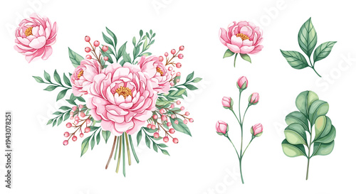Exquisite pink peony floral bouquet with berries and green leaves including separate botanical elements on a white background.