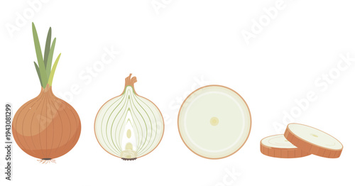 onion icons set, onion bulb with peel half and rings, yellow head with green sprout and slices for cooking ingredients spices and organic food, vector illustration isolated on white background.