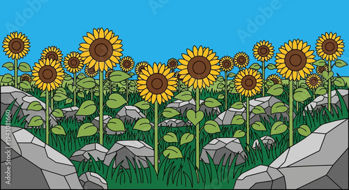 Cartoon sunflowers field against blue sky with rocks and green grass