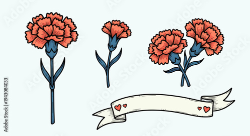 A collection of hand-drawn carnations in various arrangements with a decorative banner, featuring a vintage style