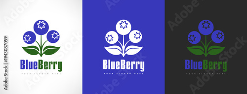 Blueberry berries logo vector design	