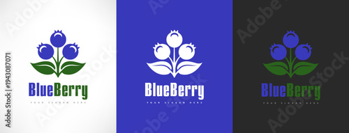 Blueberry berries logo vector design	
