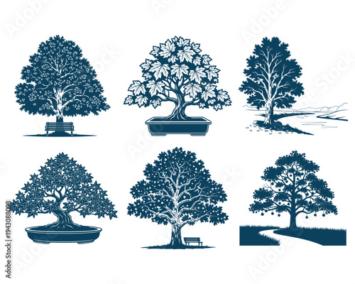 American sycamore SVG Bundle