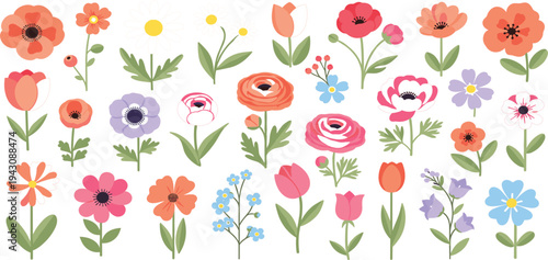 Colorful Spring Flower Collection with Tulips, Poppies, Daisies and Wildflowers Featuring Cute Botanical Floral Elements for Garden, Decoration and Nature Designs