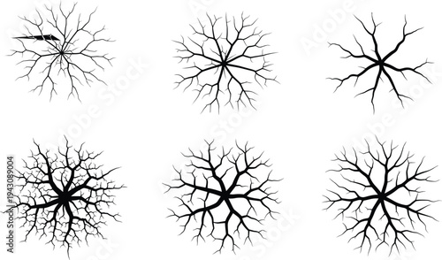 Dead leafless tree top view silhouette set, branch crown bundle for architectural plan, landscape design vector, isolated winter nature elements.