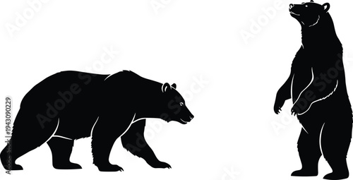 Black bear silhouettes walking and standing wildlife animal vector illustration isolated black white nature design forest mammal concept