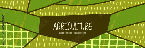 Agriculture texture abstract and plantation field pattern with top farm vineyard.