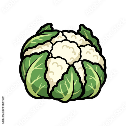 Cartoon illustration of a fresh white cauliflower head with vibrant green leaves on a white background.