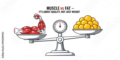 Muscle vs Fat Comparison Concept Illustration with Weighing Scale Showing Muscle Mass and Body Fat to Explain Fitness, Health and Body Composition