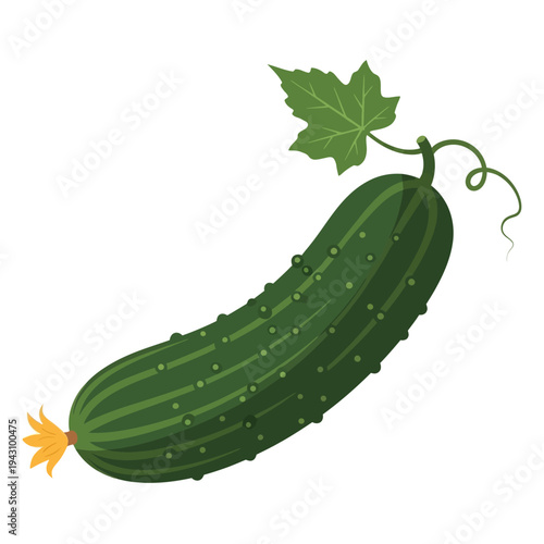 A vibrant green cucumber illustration with a leaf, tendril, and yellow flower on a white background.