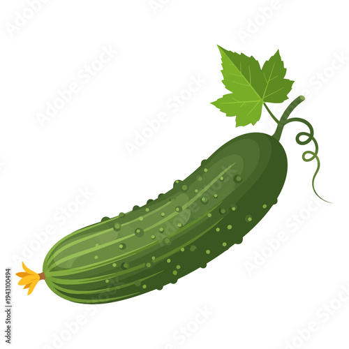 Vibrant green cucumber illustration with a fresh leaf, tendril, and small yellow flower, depicted on a white background.