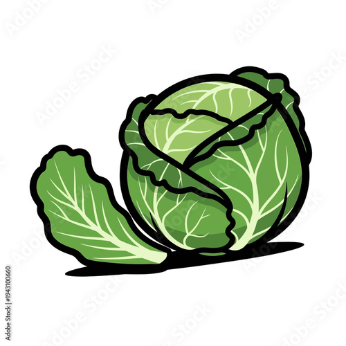 Cartoon illustration of a fresh green cabbage with distinct leaves and a dark outline, depicted on a white background.