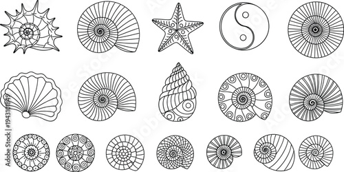 Sea Shell Vector Icon Set with Detailed Line Art Spiral Shells Starfish Scallop and Marine Life for Summer Beach Coastal
