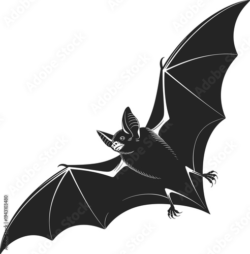 Flying bat silhouette, nocturnal wildlife illustration, dark winged mammal in flight, spooky halloween animal, isolated on light background graphic design