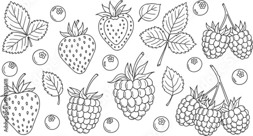 Hand-drawn doodle set of various garden berries and leaves, including strawberry, raspberry, and blueberry, illustrated in a simple black and white monochrome line art style