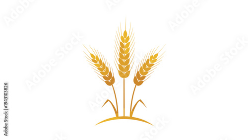Three stalks of golden wheat with ripe ears of grain standing together on a white background as a symbol of harvest and farming.
