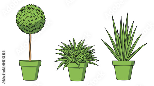 Trio of potted indoor plants in light green pots including a topiary tree and two spiky leaf varieties on a white background.