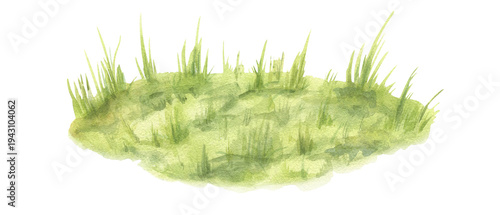 Green grass lawn watercolor illustration on isolated background. Natural blade plants, wild herbs landscape scene. Meadow or field natural texture for social media posts about nature spring decor.