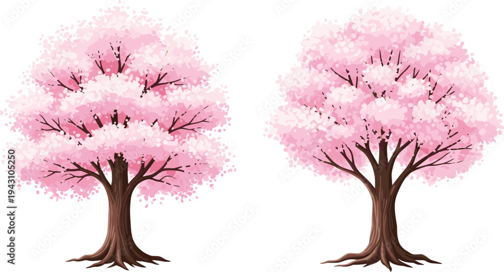 Fototapeta premium Pink cherry blossom trees vector illustration set, blooming sakura trees with soft petals isolated on light background for spring nature and floral design