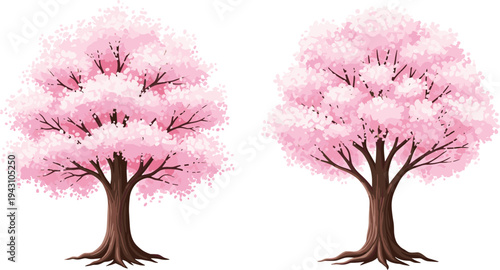 Pink cherry blossom trees vector illustration set, blooming sakura trees with soft petals isolated on light background for spring nature and floral design