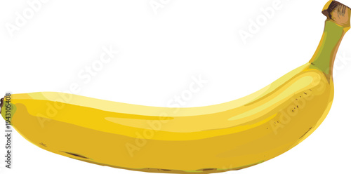 Ripe yellow banana fruit vector illustration isolated on white background, fresh tropical food clipart for healthy nutrition design, grocery, smoothie, and diet concept