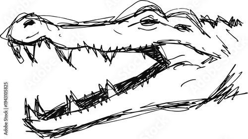 Sketch of crocodile head with open mouth and sharp teeth in black ink