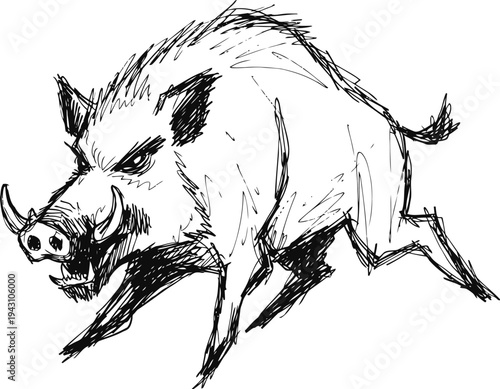 Wild boar running sketch aggressive forest animal with tusks, rough fur, powerful legs in dynamic pose