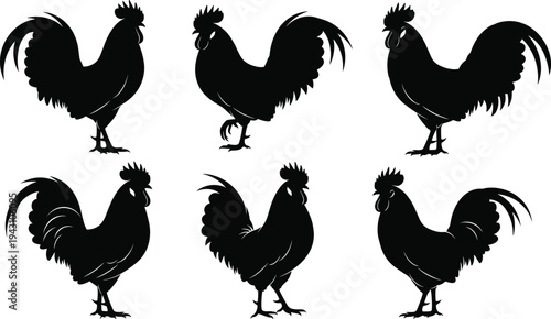 Set of six rooster silhouettes in different poses black chicken vector icons isolated on white background farm animal clipart collection for logo design stencil branding