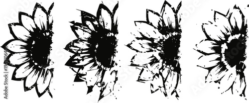 black and white sunflower sketches with grunge and distressed artistic effects