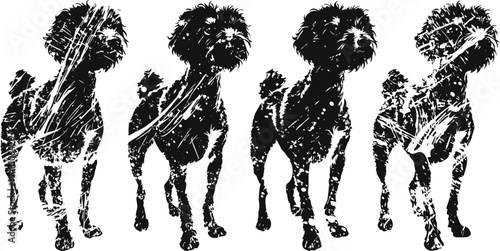 distressed artistic illustration of a poodle dog in various poses, vintage textured design