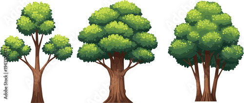 Set of three lush green forest trees with dense foliage isolated on white background, natural botanical vector illustration for park landscape, environment and ecology concept