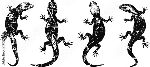 silhouettes of four climbing lizards with detailed textures isolated on white background