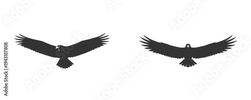 Bald eagle flying with spread wings silhouette vector for freedom concept.