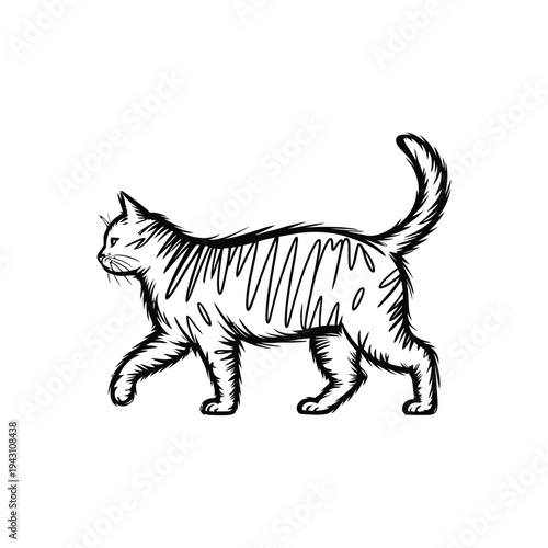 Sketch of a walking cat in black and white.